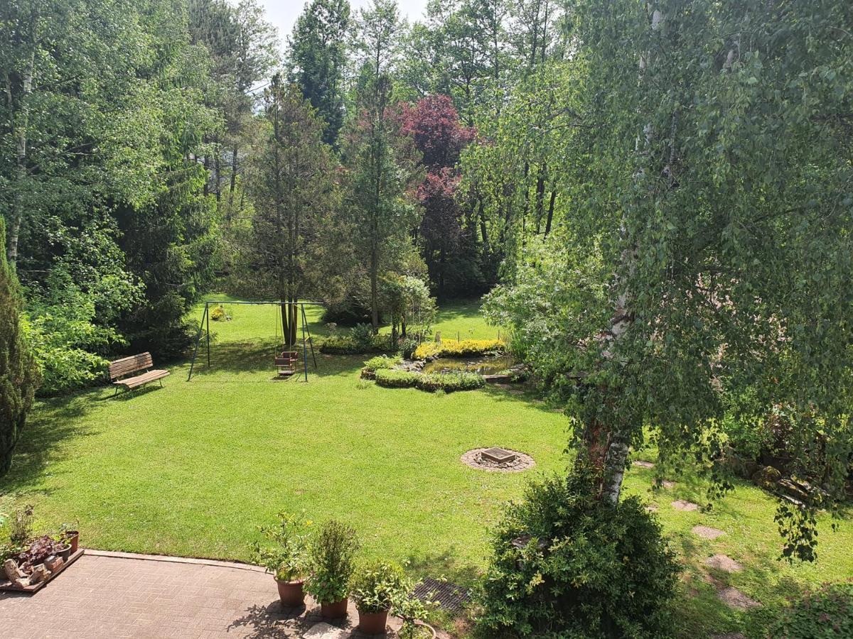 Ferienwohnung Haus Sonnenschein Trassem Bagian luar foto